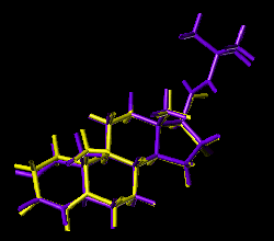 molekula